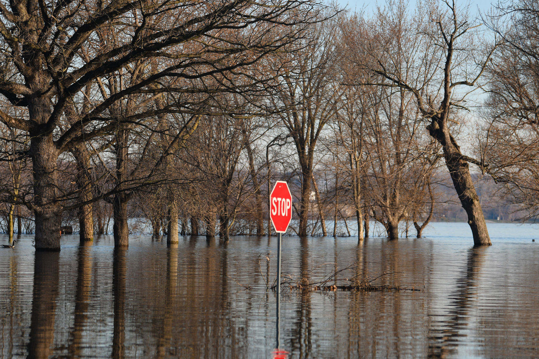 Flooding on Campbell's Island